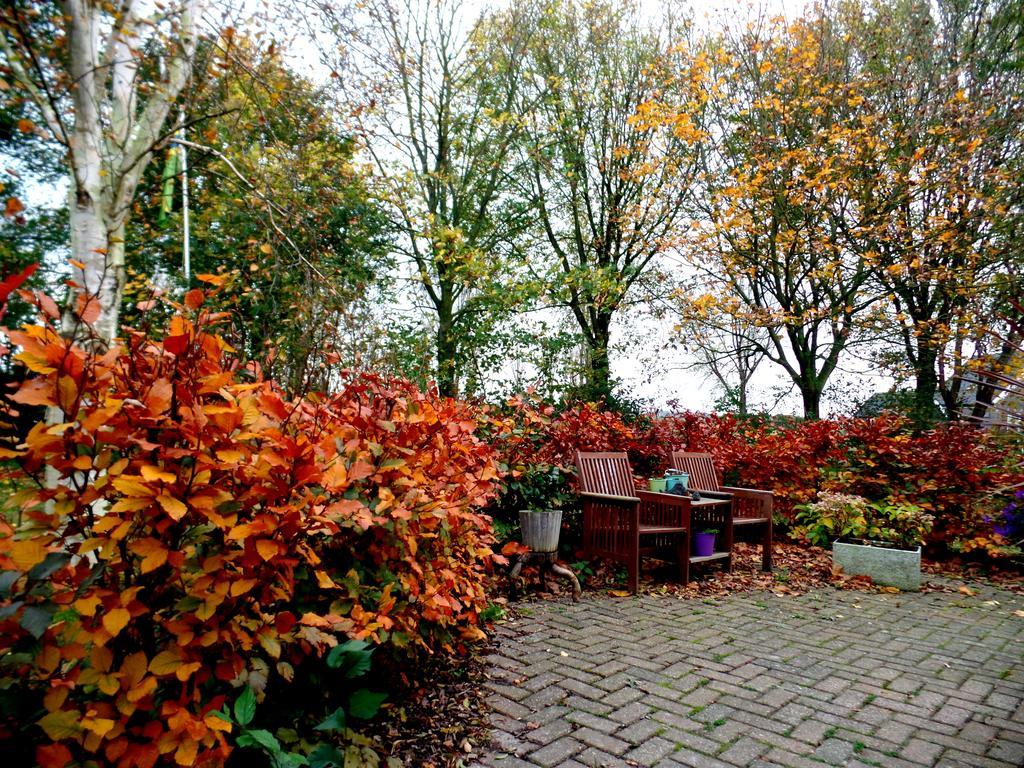 Bed En Breakfast De Pauw Wieringerwaard Exteriör bild