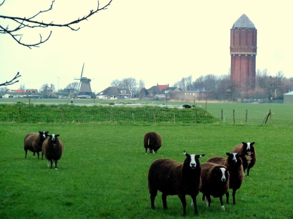 Bed En Breakfast De Pauw Wieringerwaard Rum bild